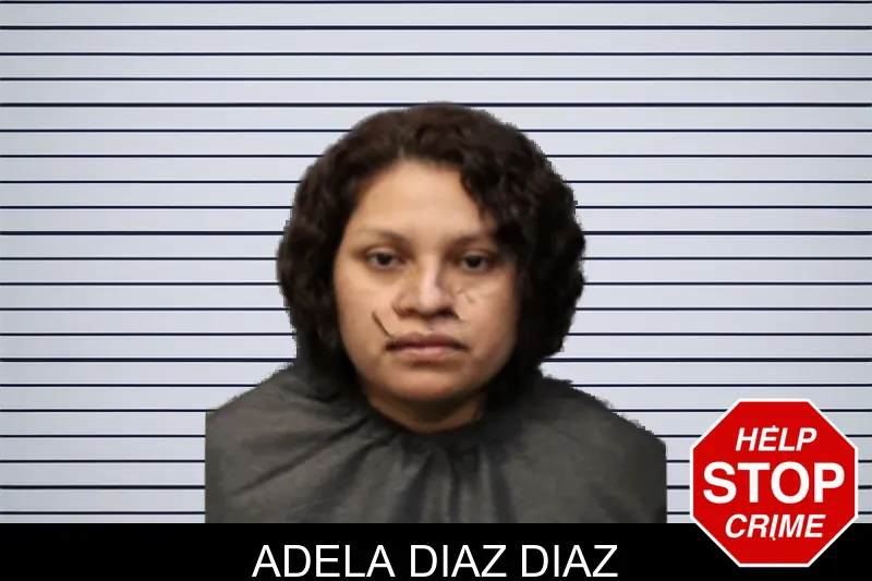 Adela Diaz Diaz mugshot – Forsyth County , Georgia Adela Diaz Diaz mugshot