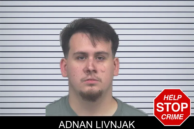 Adnan Livnjak mugshot