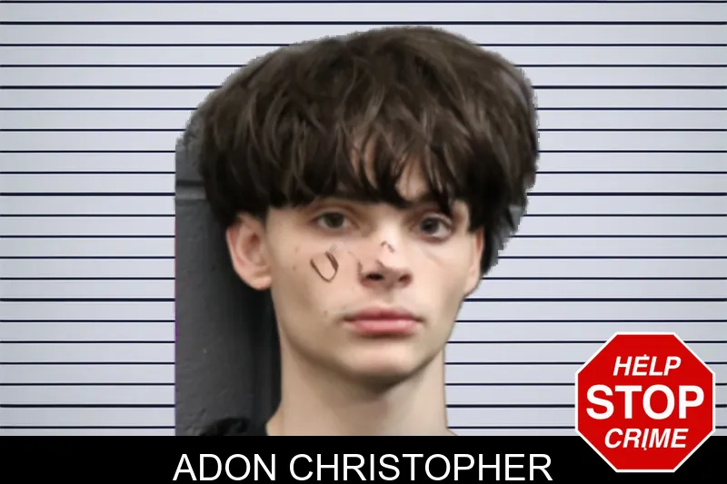 Adon Christopher mugshot – Forsyth County , Georgia Adon Christopher mugshot