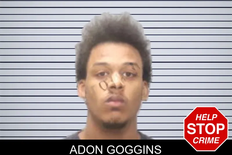 Adon Goggins mugshot