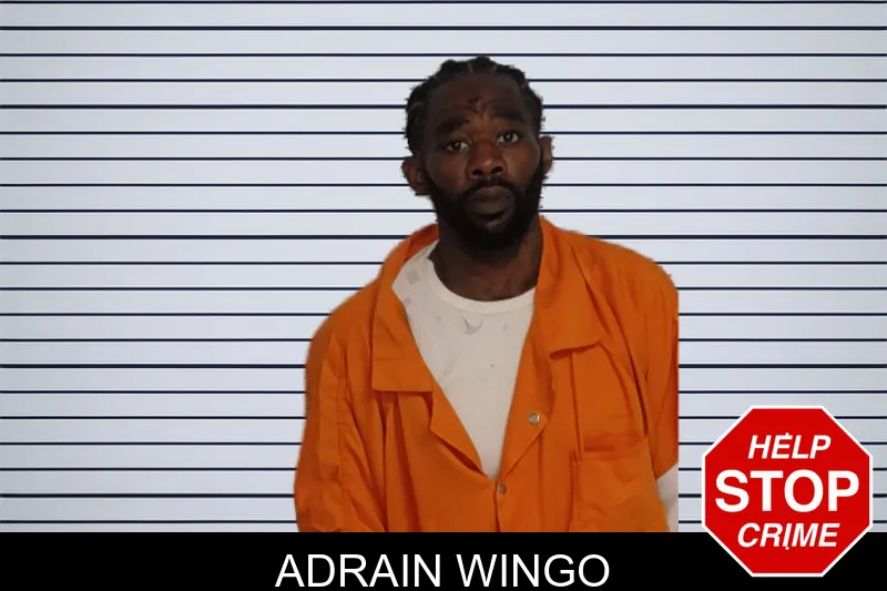 Adrain Wingo mugshot