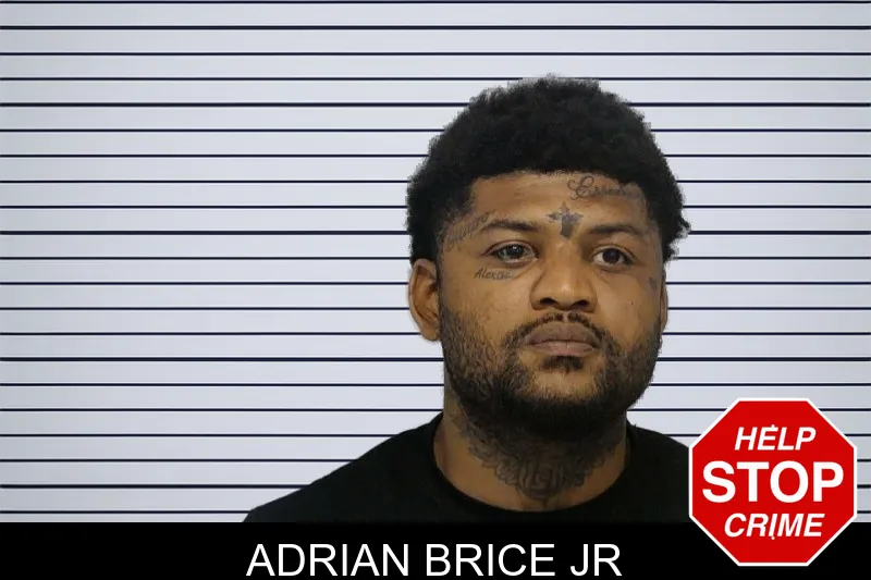 Adrian Brice Jr mugshot