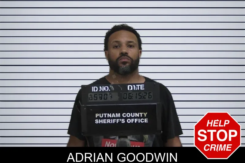Adrian Goodwin mugshot