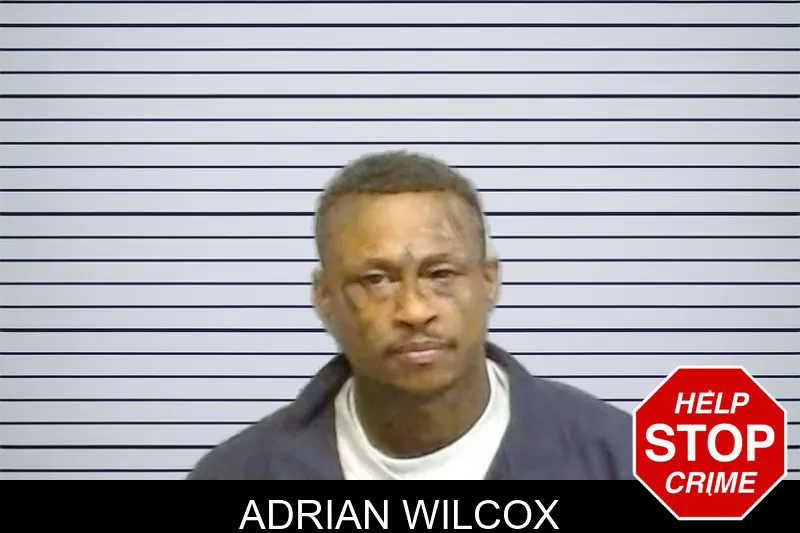 Adrian Wilcox mugshot