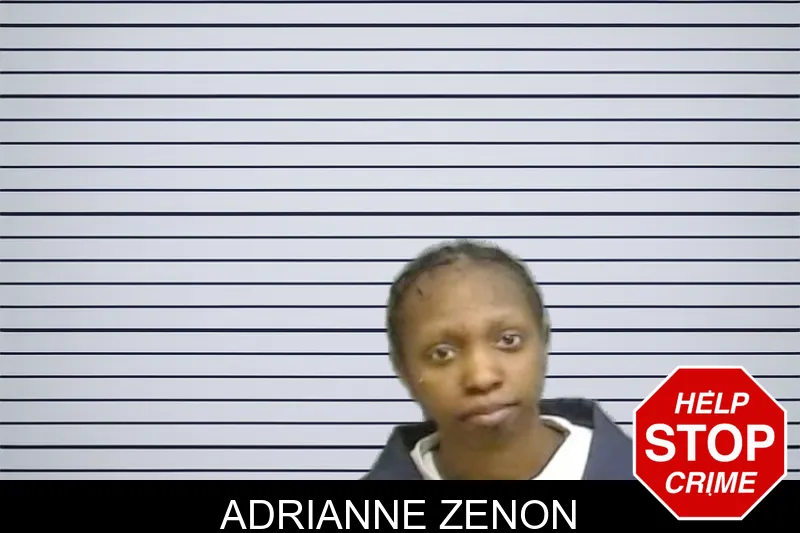 Adrianne Zenon mugshot – Fulton County , Georgia Adrianne Zenon mugshot