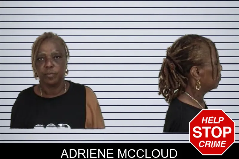 Adriene McCloud mugshot