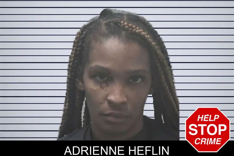 Adrienne Heflin mugshot