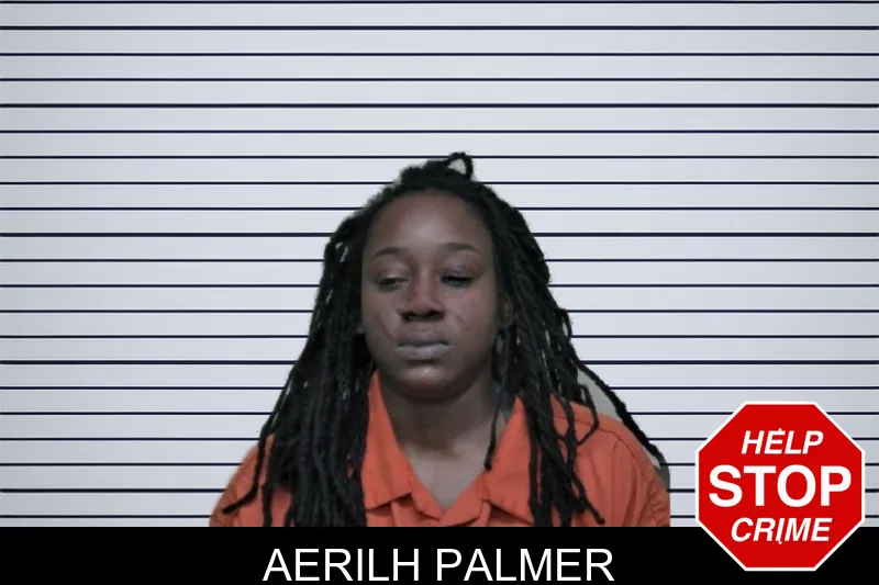 Aerilh Palmer mugshot