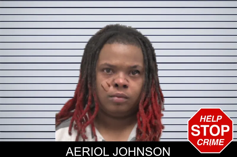 Aeriol Johnson mugshot – Dougherty County , Georgia Aeriol Johnson mugshot