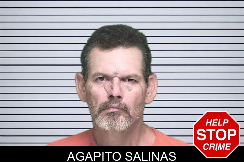 Agapito Salinas mugshot