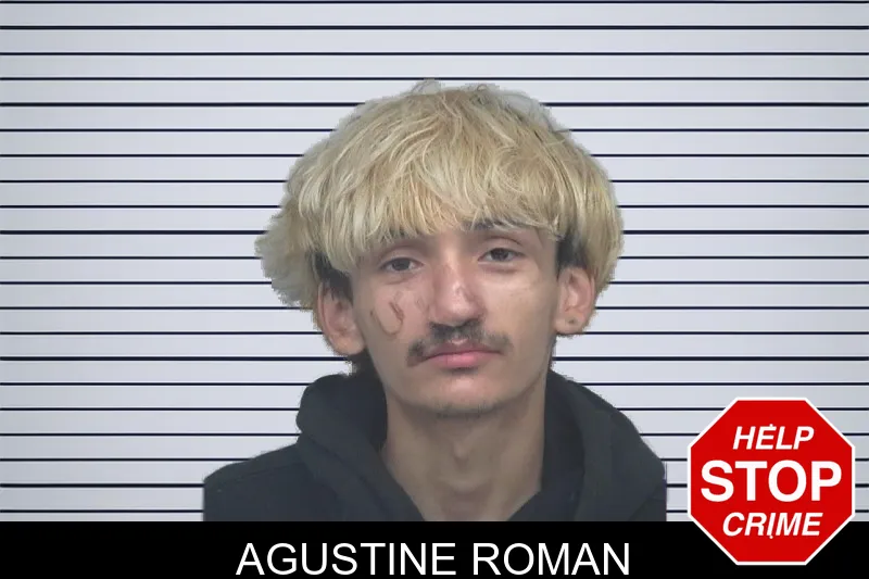 Agustine Roman mugshot