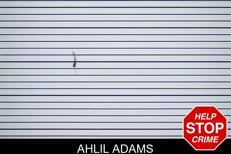 Ahlil Adams mugshot