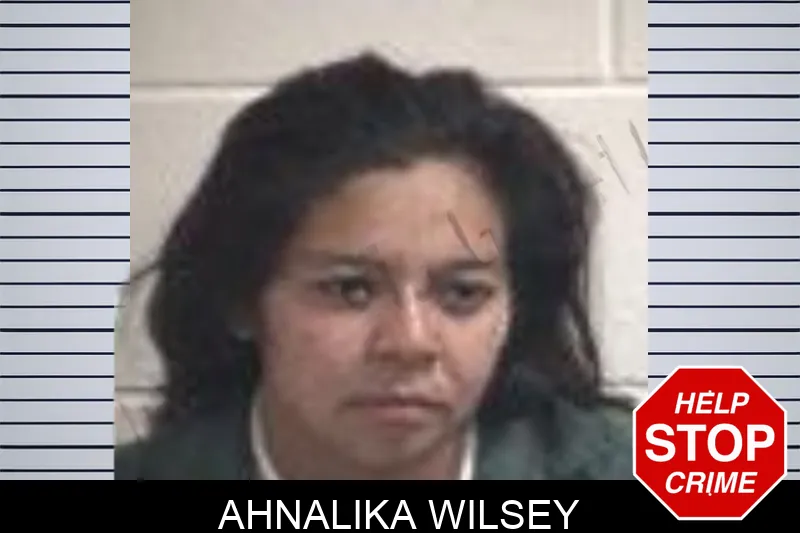 Ahnalika Wilsey mugshot