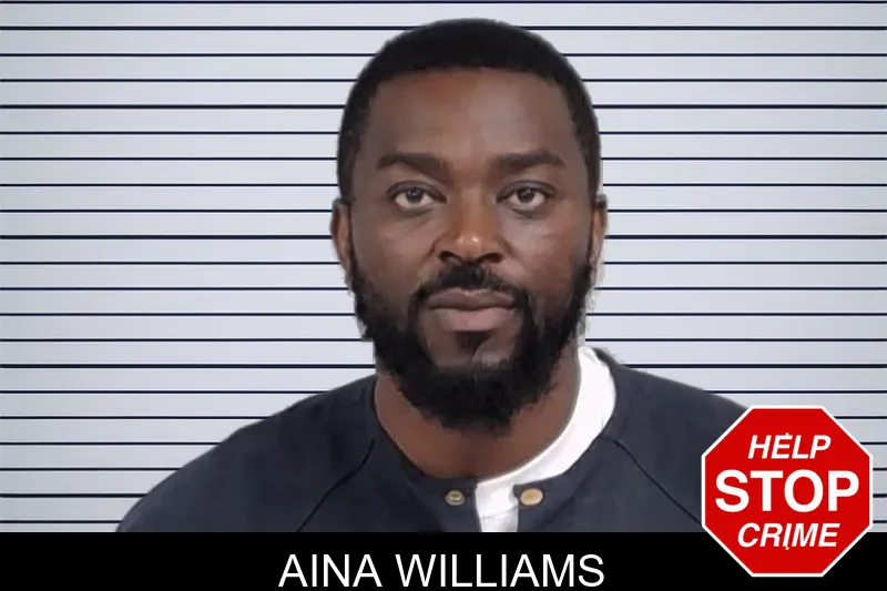 Aina Williams mugshot