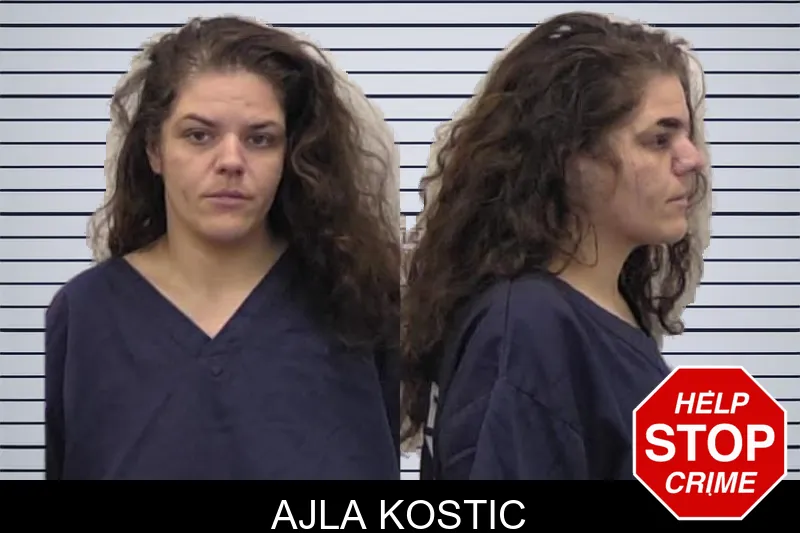 Ajla Kostic mugshot