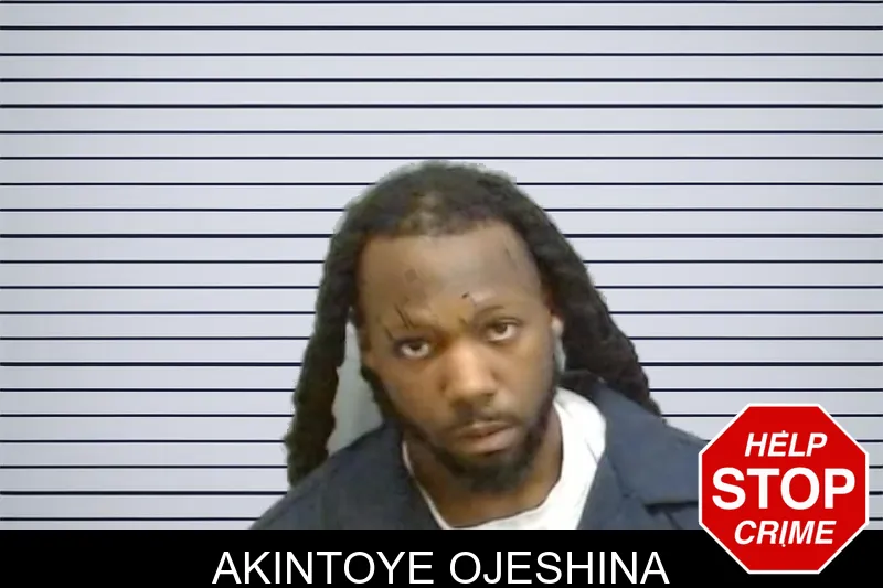 Akintoye Ojeshina mugshot – Fulton County , Georgia Akintoye Ojeshina mugshot