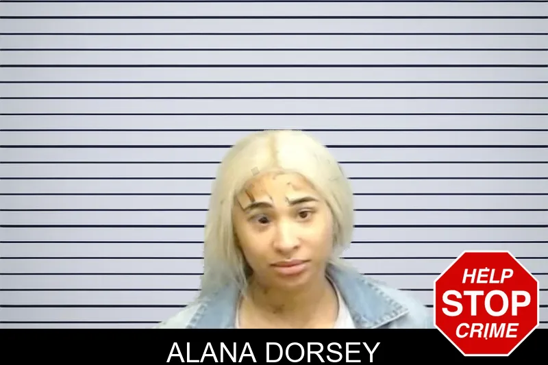 Alana Dorsey mugshot