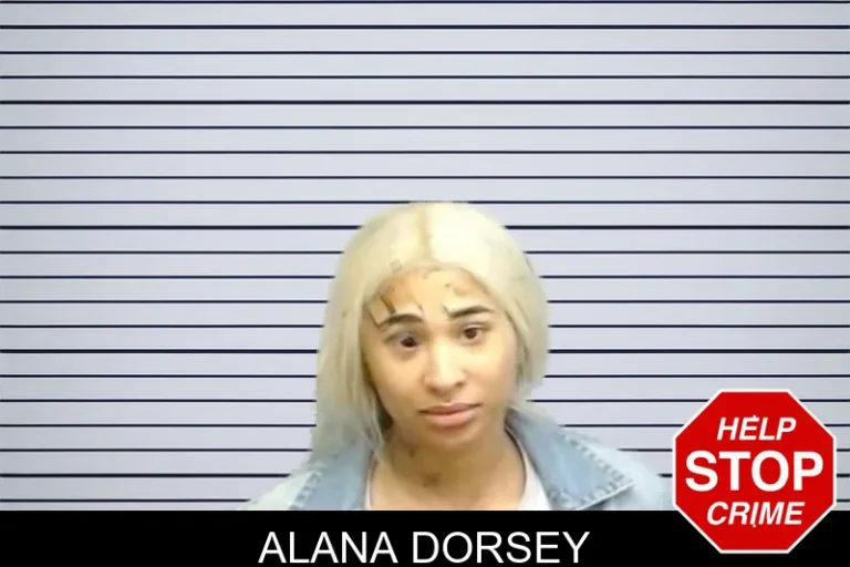 Alana Dorsey mugshot – Fulton County , Georgia Alana Dorsey