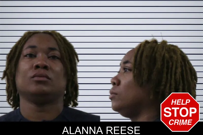 Alanna Reese mugshot – Houston County , Georgia Alanna Reese mugshot