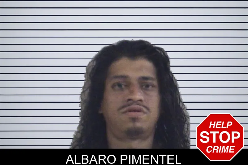 Albaro Pimentel mugshot