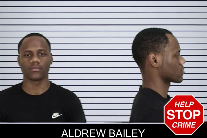 Aldrew Bailey mugshot – Camden County , Georgia Aldrew Bailey mugshot