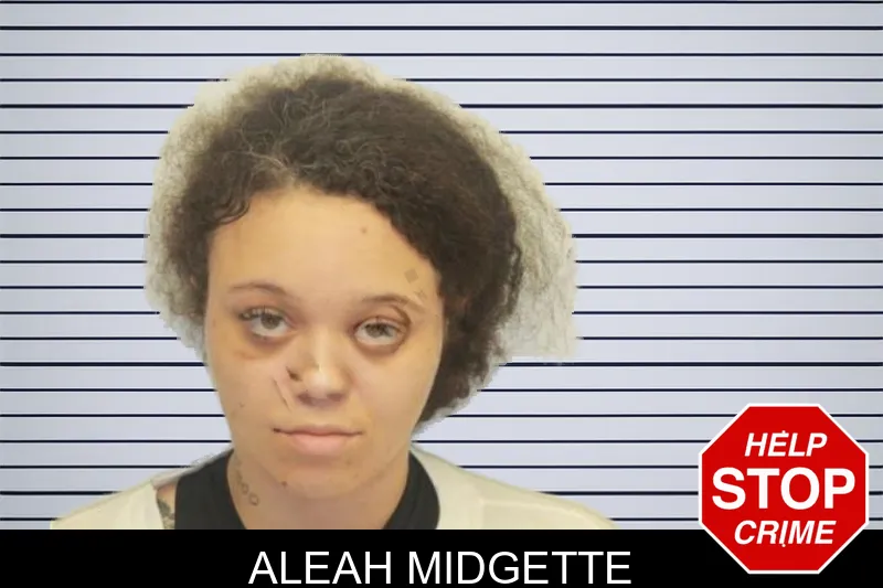 Aleah Midgette mugshot – Chatham County , Georgia Aleah Midgette mugshot