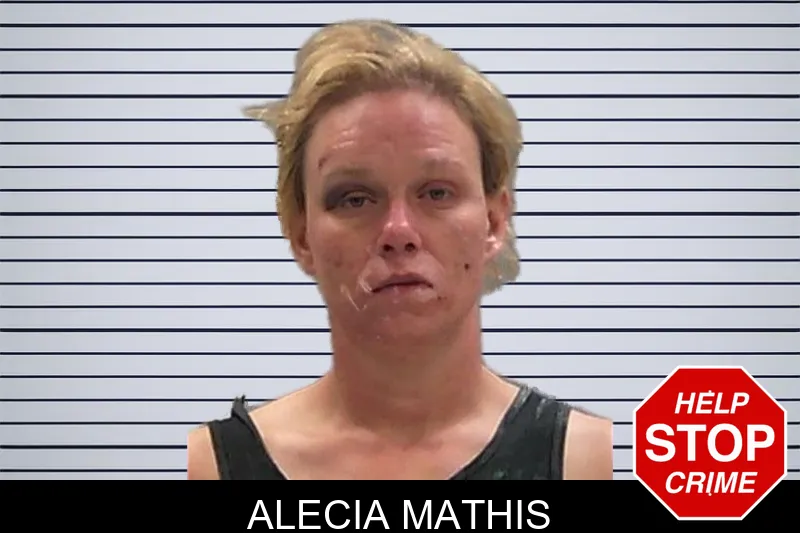 Alecia Mathis mugshot – Baldwin County , Georgia Alecia Mathis mugshot