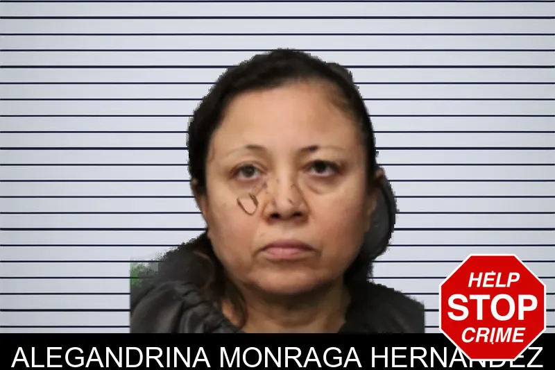 Alegandrina Monraga Hernandez mugshot