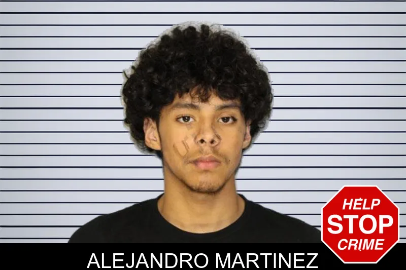 Alejandro Martinez mugshot – Hall County , Georgia Alejandro Martinez mugshot