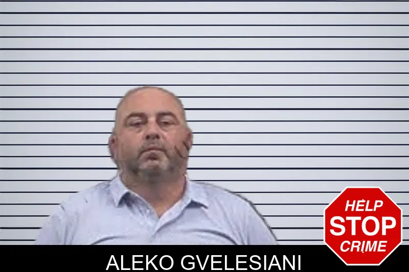 Aleko Gvelesiani mugshot