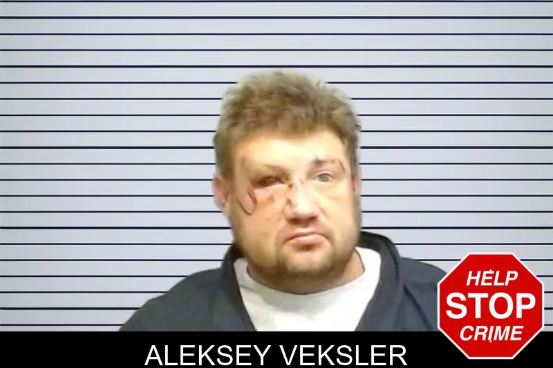 Aleksey Veksler mugshot