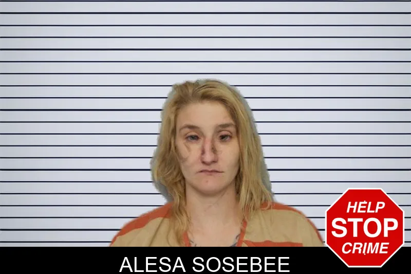 Alesa Sosebee mugshot