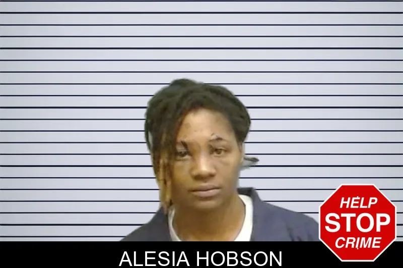 Alesia Hobson mugshot