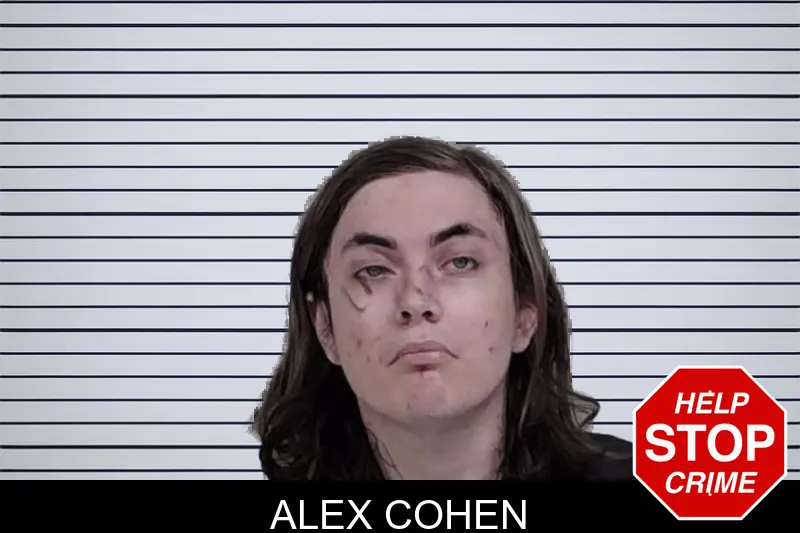 Alex Cohen mugshot