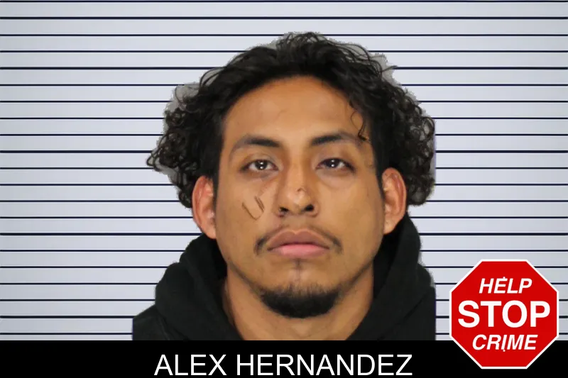Alex Hernandez mugshot – Cobb County , Georgia Alex Hernandez mugshot