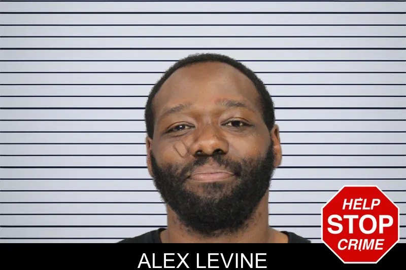 Alex Levine mugshot – Cobb County , Georgia Alex Levine mugshot