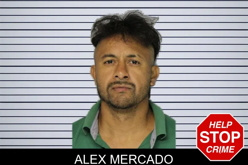 Alex Mercado mugshot – Hall County , Georgia Alex Mercado mugshot