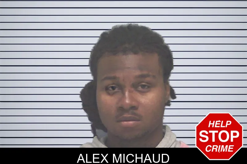 Alex Michaud mugshot