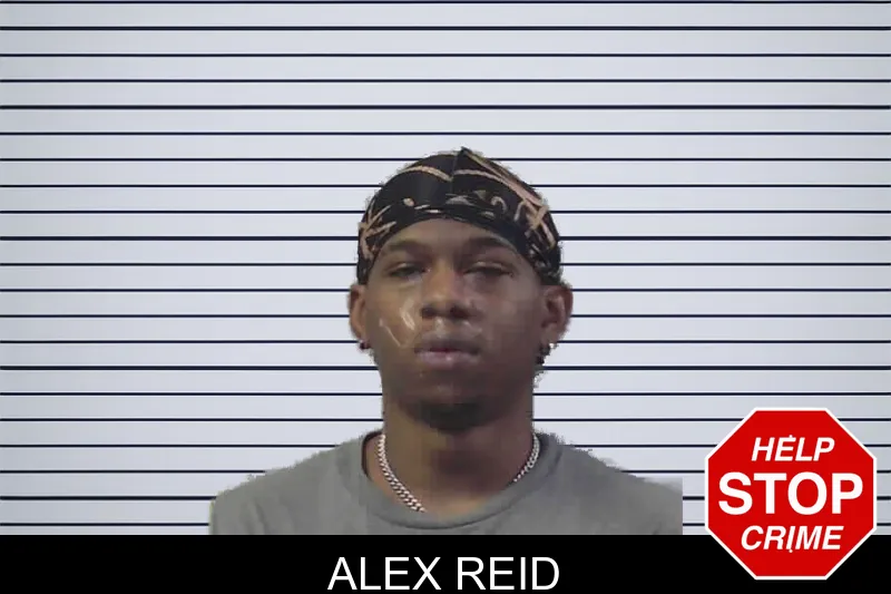 Alex Reid mugshot