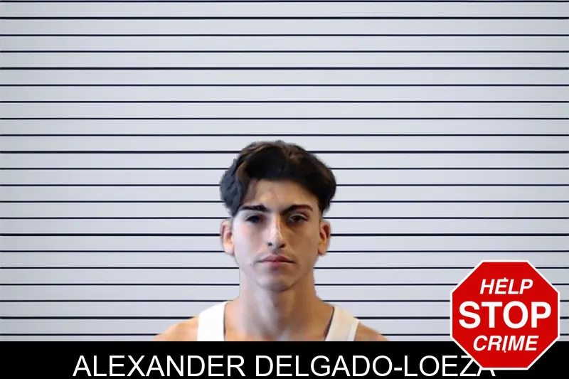 Alexander Delgado-Loeza mugshot – DeKalb County , Georgia Alexander Delgado-Loeza mugshot