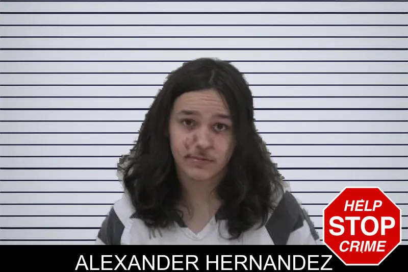 Alexander Hernandez mugshot
