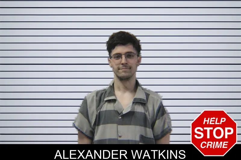 Alexander Watkins mugshot – Stephens County , Georgia Alexander Watkins mugshot