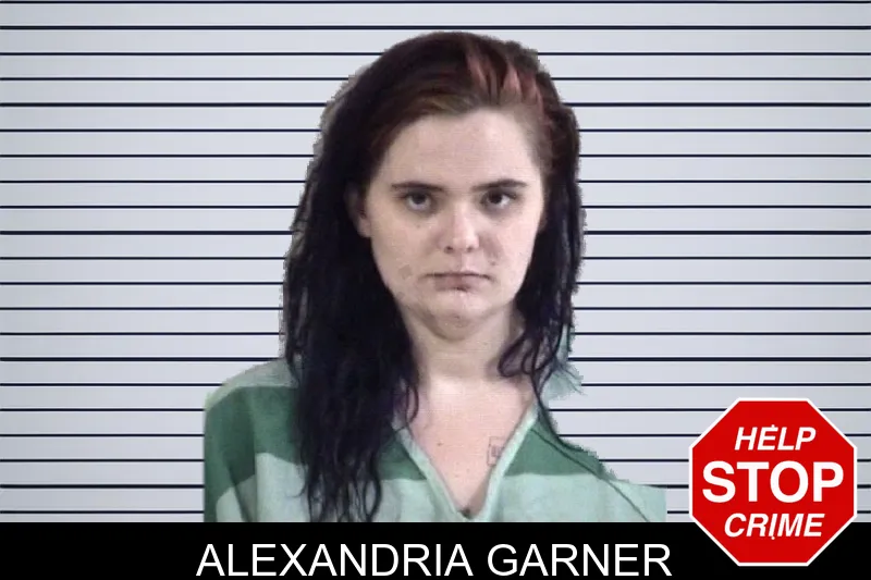 Alexandria Garner mugshot – Whitfield County , Georgia Alexandria Garner mugshot