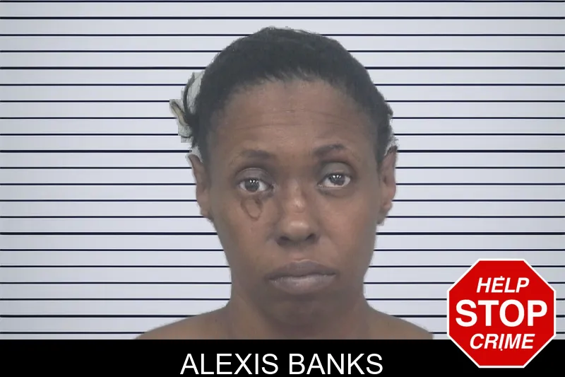 Alexis Banks mugshot – Gwinnett County , Georgia Alexis Banks mugshot