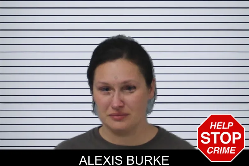 Alexis Burke mugshot