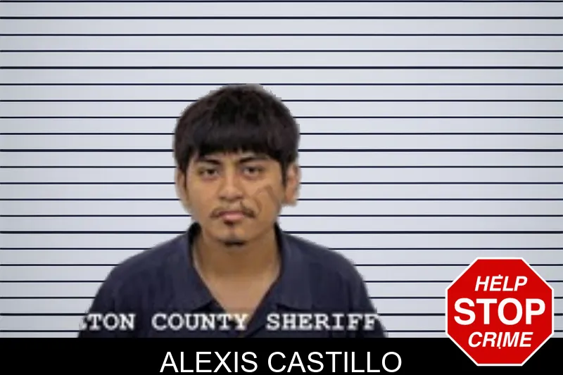 Alexis Castillo mugshot