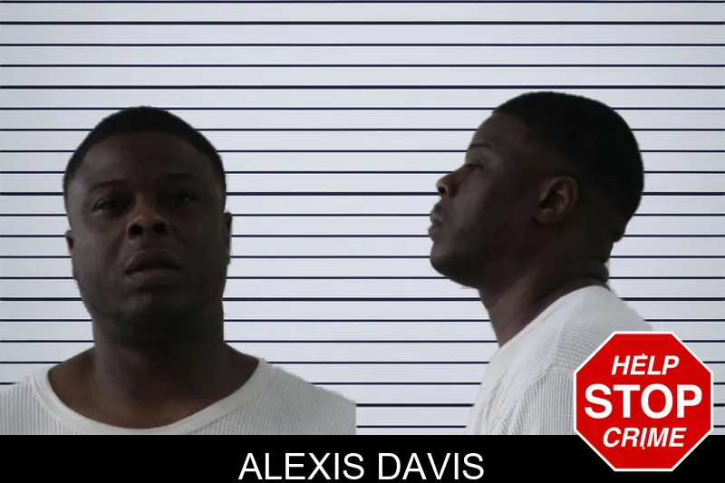 Alexis Davis mugshot – Houston County , Georgia Alexis Davis mugshot