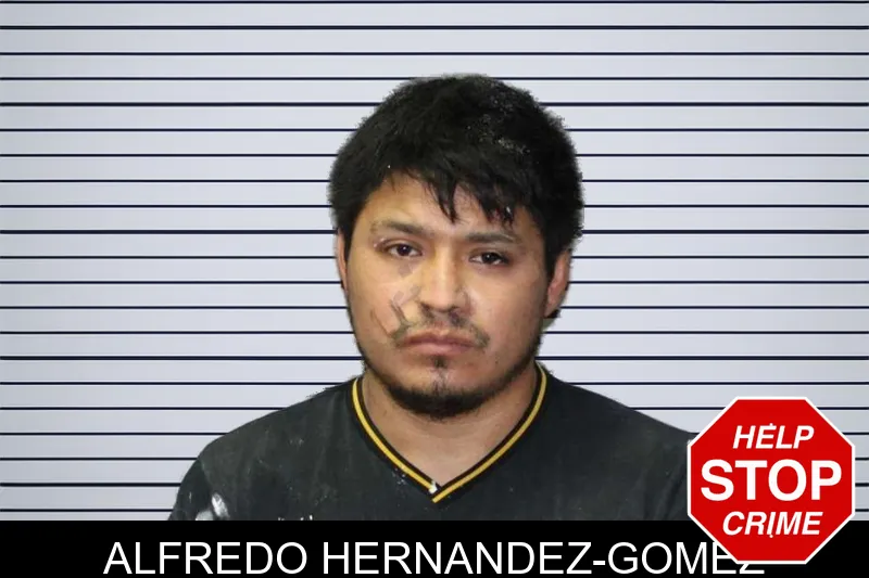 Alfredo Hernandez-Gomez mugshot
