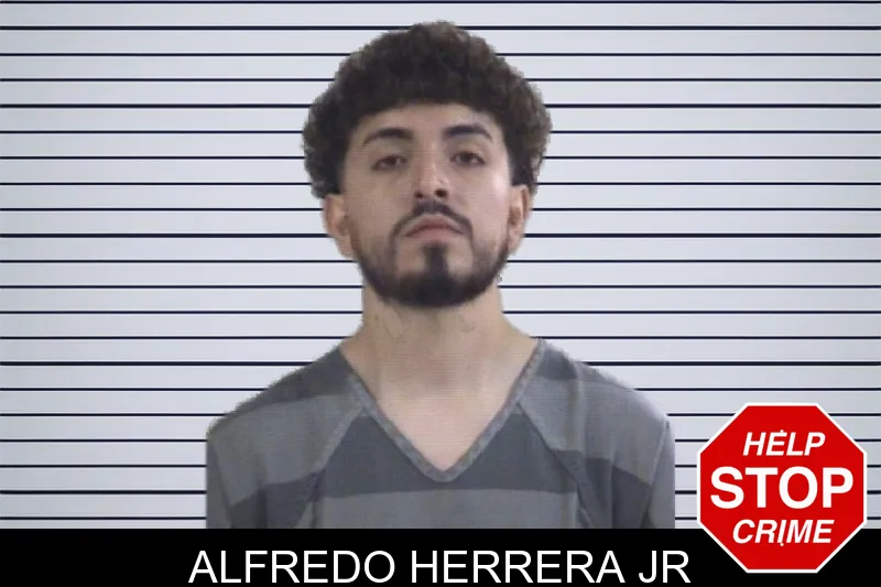 Alfredo Herrera Jr mugshot