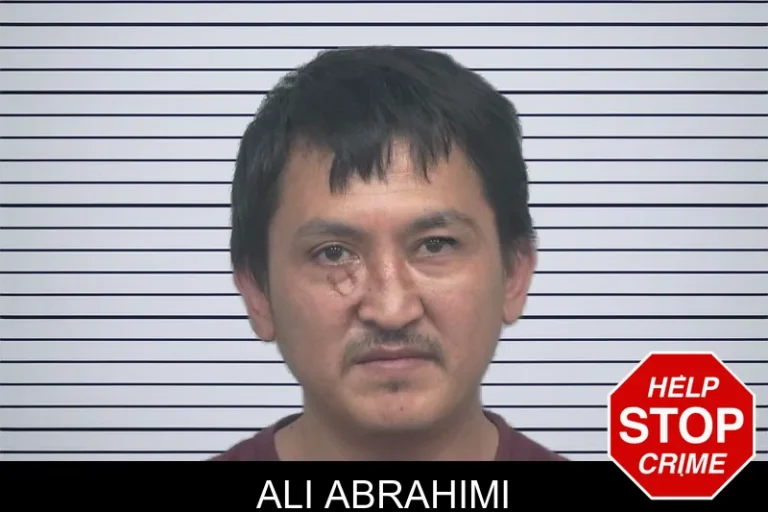 Ali Abrahimi mugshot – Gwinnett County , Georgia Ali Abrahimi